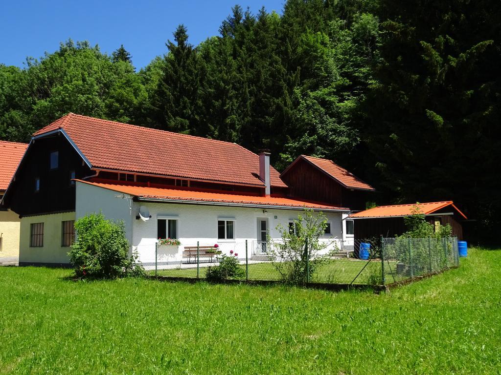 Haus Im Gruenen - Gmundennaehe Pinsdorf Exterior photo
