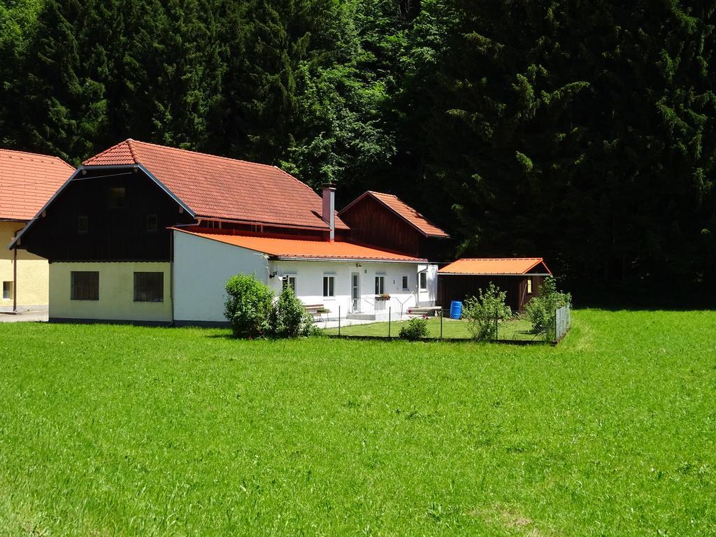 Haus Im Gruenen - Gmundennaehe Pinsdorf Exterior photo